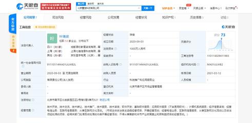 京東關聯電競公司戰略入股北京霓旌科技，業務版圖拓展至經濟信息咨詢新領域